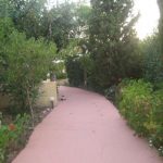 Rent a villa in Ialysos – Luxury villas in Ialysos – Holiday villa rentals in Ialysos – Book a villa in Ialysos - Luxury accommodation in Ialysos – Holiday villas for rent in Ialysos – Ialysos villas